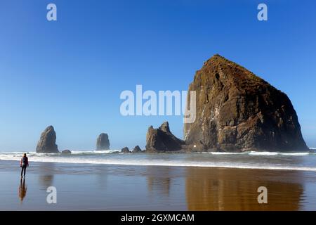 A person on the sands of Cannon Beach admiring Haystack Rock and the accompanying rock pinnacles known as The Needles, at Cannon Beach, Oregon. Stock Photo