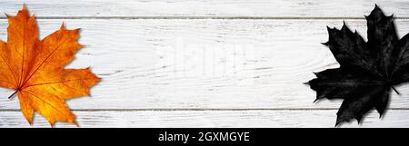 Halloween black and orange leaves on wooden white table, flat lay. Panoramic banner with space for Halloween greeting text. Top view of fall foliage o Stock Photo