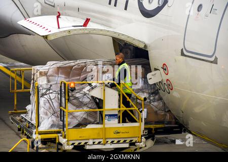 Commercial air freight transport. Loading cargo on board an Austrian ...