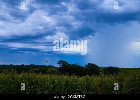 Stormy day in corn field with water tower in distance Stock Photo