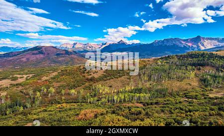 Large forest with line of aspen tree and beautiful mountain range in background Stock Photo