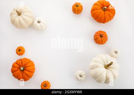 Fresh ripe pumpkins on white background. Flat lay. Top view Stock Photo