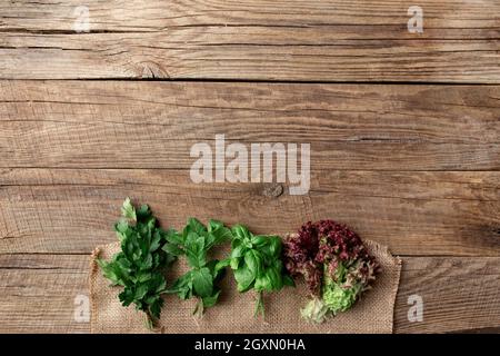 Gardening and healthy eating concept with different herbs and salad leaves, basil, mint, radicchio, parsley and celery on gray background Stock Photo