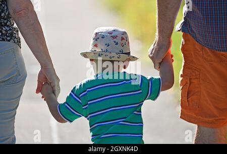 Toddler, 2 years, multi-ethnic, Eurasian, is led by the hands, Baden-Wuerttemberg, Germany Stock Photo