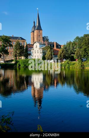 Rote Spitzen at the small pond, Altenburg, Thuringia, Germany Stock Photo