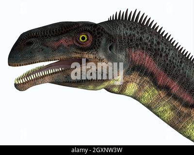 Plateosaurus was a herbivorous prosauropod dinosaur that lived in Europe during the Triassic Period. Stock Photo