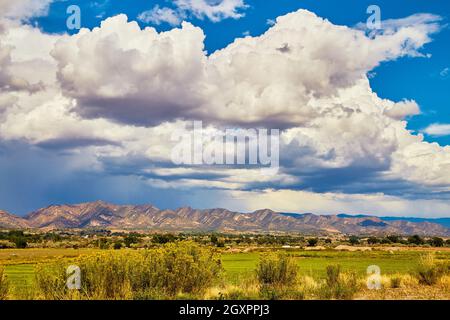 Large white storm clouds hitting desert mountains with lush green field and flowers in foreground Stock Photo