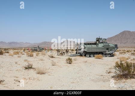 U.S. Marines with 3rd Battalion, 7th Marine Regiment, 1st Marine Division, disembark Amphibious Assault Vehicles during a live-fire range at Marine Corps Air Ground Combat Center Twentynine Palms, California, Sept. 20, 2021. The company-level training allows Marines to enhance their combat readiness and test their capabilities in a dynamic training scenario. (U.S. Marine Corps photo by Lance Cpl. Quince Bisard) Stock Photo