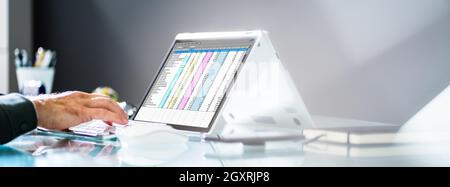 Electronic Spreadsheet Software On Analyst Or Auditor Laptop Stock Photo