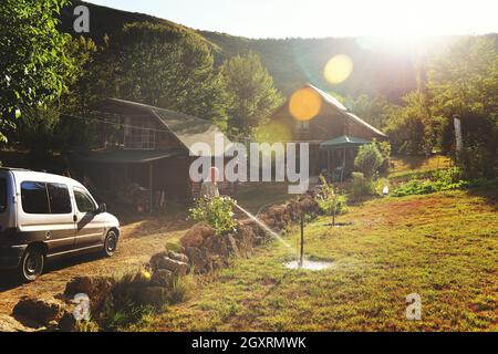 Senior gardener watering the plants using a rubber hose in sunset Stock Photo