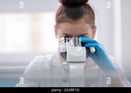 Young female student scientist looking through a microscope while doing some research in the laboratory Stock Photo
