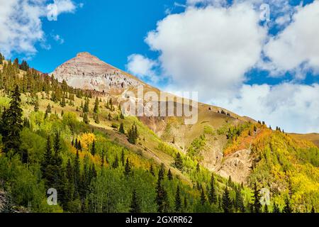 Large mountain in fall covered with golden yellow aspen trees Stock Photo