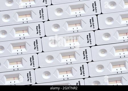 Corona Rapid antigen test kit mosaic surface white macro close-up detail made from many test kits Stock Photo