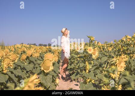 Cheerful positive young woman posing on camera among field of sunflowers. Happy girl  in straw hat during summertime. Harvest period Stock Photo
