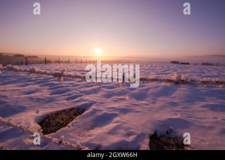 Barbed Wire Fence In Beatiful Winter Morning Sunrise With Frost And 