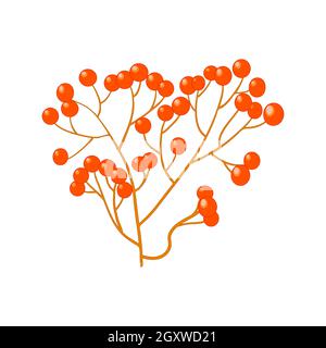 Sprig with rowan berries isolated on white background. Rowan branch autumn or winter design. Mountain ash simple icon. Stock vector illustration Stock Vector