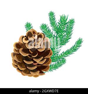 Cone with fir twig isolated on white background. Pine cone with branch.Coniferous winter plant.Christmas decoration, winter symbol.Vector illustration Stock Vector