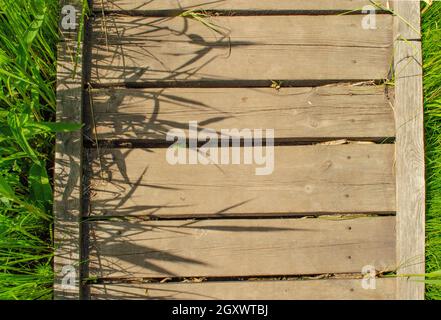 Footbridge crossing the dense thickets. Path through a green summer park. Wooden walkway, path in dense greenery. Thickets of grass. Top view travel c Stock Photo