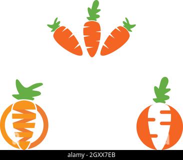 carrot ilustration logo vector template Stock Vector