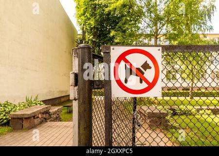 No dogs allowed sign on a metal gate. No dogs sign on fence. Stock Photo