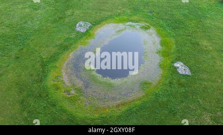 Springtime waterhole in fresh green meadow from drone, Podlaskie Voivodeship, POland, Europe Stock Photo