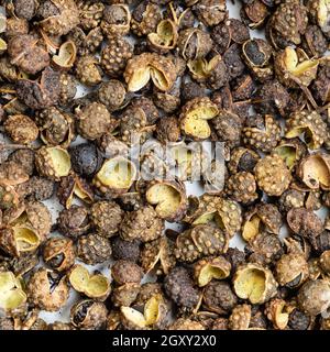 square food background - dried sichuan pepper peppercorns close up Stock Photo
