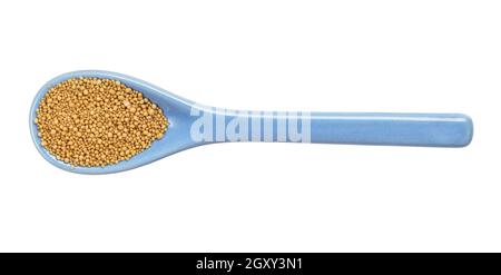 top view of granulated dried yeast in ceramic spoon isolated on white background Stock Photo