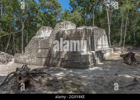 the ruins of the ancient mayan city of hormiguero, campeche, Mexico Stock Photo