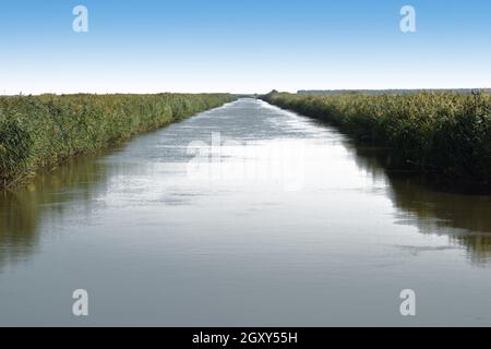 The main irrigation rice fields irrigation channel. Agricultural buildings. Stock Photo