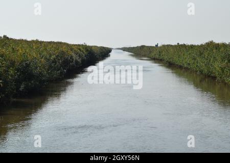 The main irrigation rice fields irrigation channel. Agricultural buildings. Stock Photo