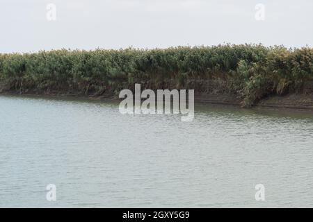 The main irrigation rice fields irrigation channel. Agricultural buildings. Stock Photo