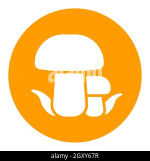 Forest mushrooms with a green grass vector white glyph icon. Camping and Hiking sign. Graph symbol for travel and tourism web site and apps design, lo Stock Photo