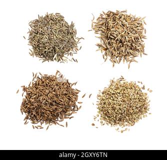 top view of various cumin like seeds (black cumin, cumin, caraway, indian cumin) on white background Stock Photo