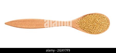 top view of granulated dried yeast in wood spoon isolated on white background Stock Photo