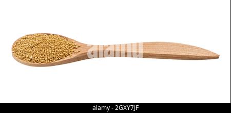 granulated dried yeast in wooden spoon isolated on white background Stock Photo