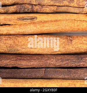 square food background - several sticks of cassia cinnamon close up Stock Photo