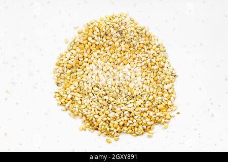 top view of pile of whole-grain foxtail millet seeds close up on gray ceramic plate Stock Photo