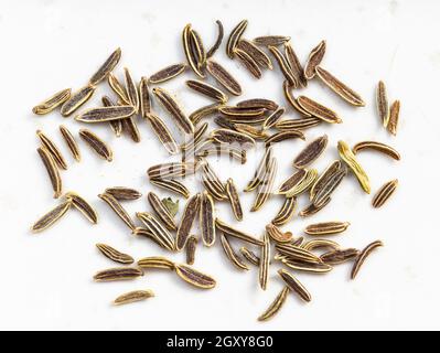 several kala zeera (Elwendia persica) seeds close up on gray ceramic plate Stock Photo