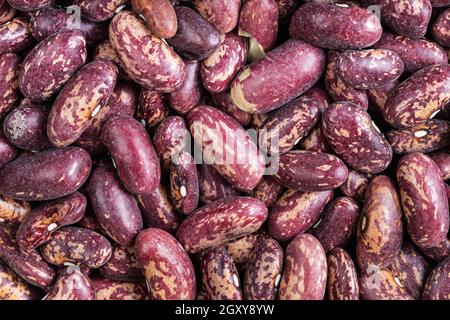 food background - raw red spotted pinto beans Stock Photo