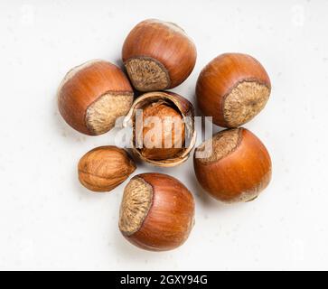 several shelled and whole hazelnuts close up on gray ceramic plate Stock Photo