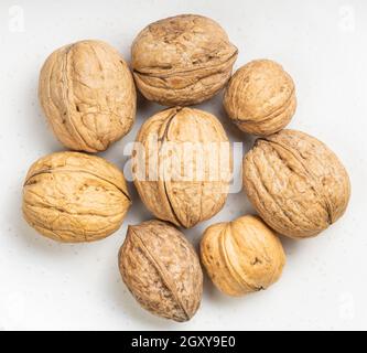 several whole walnuts close up on gray ceramic plate Stock Photo