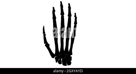 Back view of forearm in black and white isolated background Stock Photo