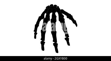 Front view of forearm in black and white isolated background Stock Photo