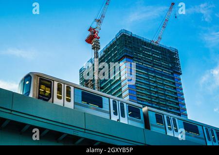 High-rise apartment and black-headed gulls in construction. Shooting Location: Tokyo metropolitan area Stock Photo