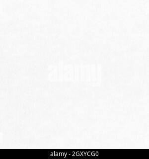 plain white square background