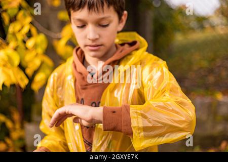 PhoPhoto of teenage boy in a yellow raincoat among autumn leaves, walking in park, Lady bug on hand Stock Photo