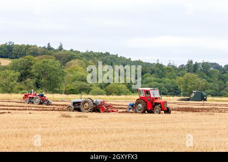 Middleshaw, Scotland - August 16, 2020 : Vintage Ferguson 35 and Massey Ferguson 35 tractors competing at a local ploughing match Stock Photo