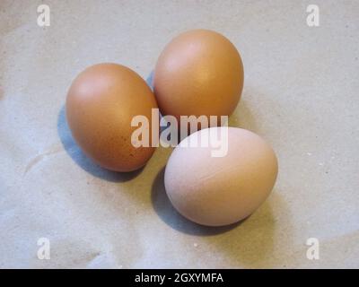 three chicken eggs lying side by side Stock Photo