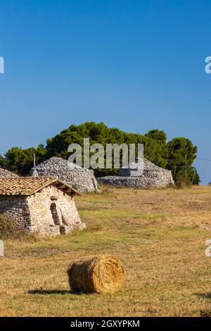 Trulli, typical houses near Castel del Monte, Apulia region, Italy Stock Photo