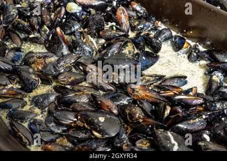 black mussel in a huge pan in Ljubljana dprta kuhna open kitchen outdoor event . Stock Photo